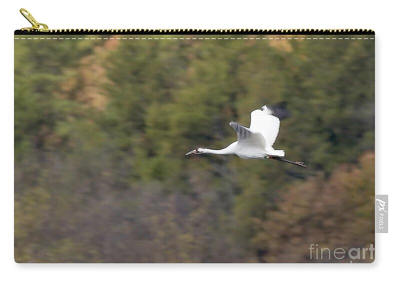Birds Zip Pouch featuring the photograph Whooping crane by Steven Ralser