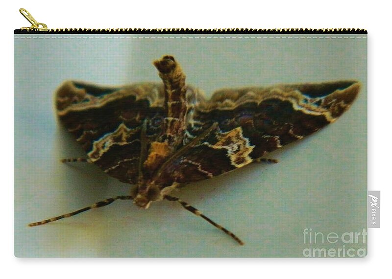 Moth Carry-all Pouch featuring the photograph Wierd Moth 3 by Gallery Of Hope 