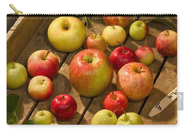 Science Zip Pouch featuring the photograph Wild Apples by Science Source