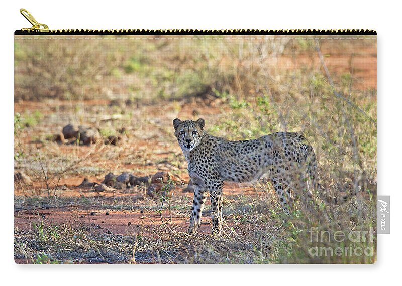 Festblues Zip Pouch featuring the photograph Wild Beauty... by Nina Stavlund