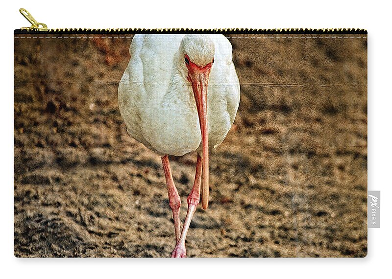 Wild Bird Zip Pouch featuring the photograph Wild Bird Walking Towards Camera by Maggy Marsh