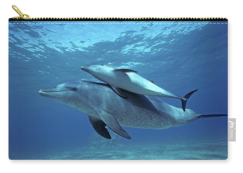 Horizontal Zip Pouch featuring the photograph Wild Bottlenose Dolphins Mother & Calf by Jeff Rotman