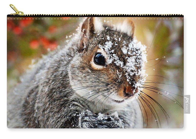 Winter Zip Pouch featuring the photograph Wild Expedition by Christina Rollo