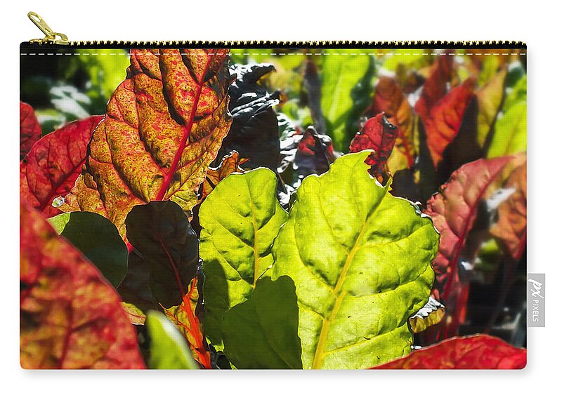Wild Lettuce Zip Pouch featuring the photograph Wild Lettuce by Karen Wiles