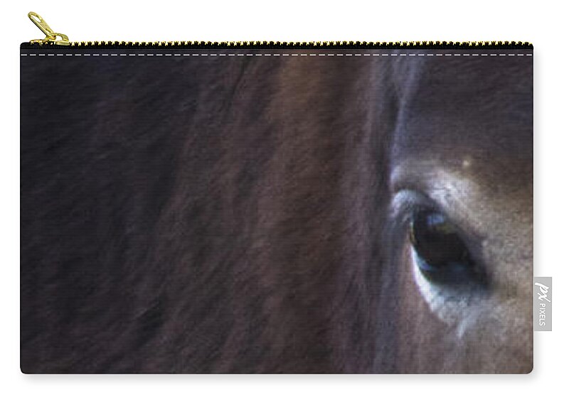 Andalusia Zip Pouch featuring the photograph Wild Mustangs of New Mexico 42 by Catherine Sobredo