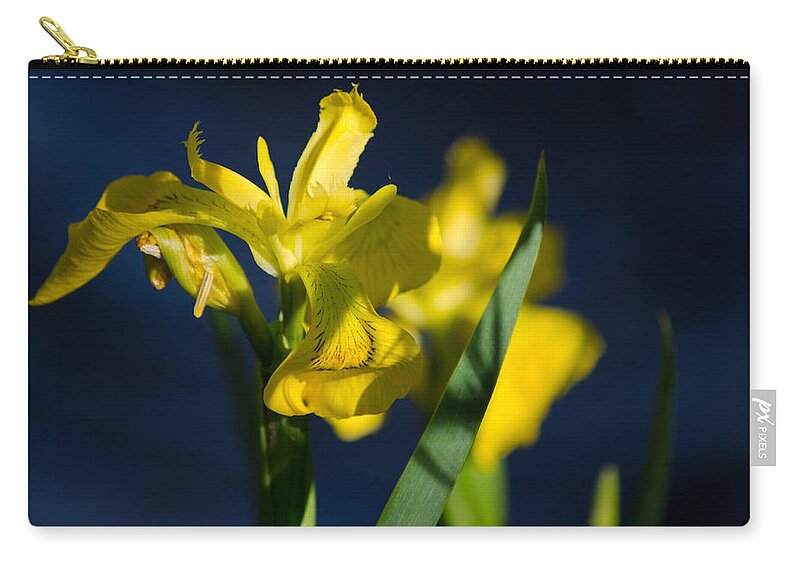 Dakota Zip Pouch featuring the photograph Wild Water Iris by Greni Graph