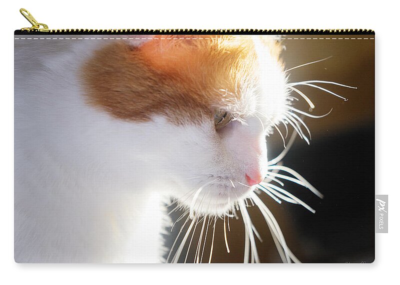 Sharon Zip Pouch featuring the photograph Wild Whiskers by Sharon Popek