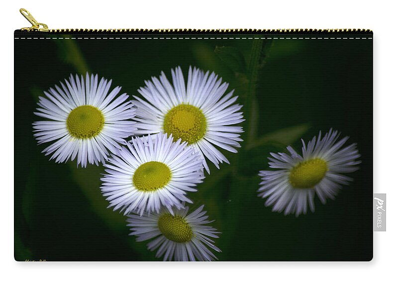 Wildflowers Zip Pouch featuring the photograph Wildflowers White Fleabane by Christina Rollo