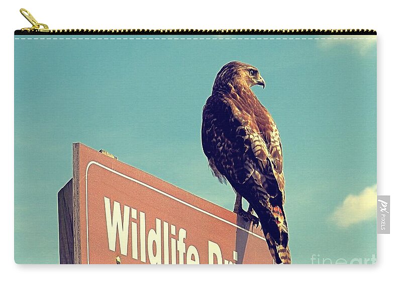 Red Tail Zip Pouch featuring the photograph Wildlife Drive Greeter by Sharon Woerner