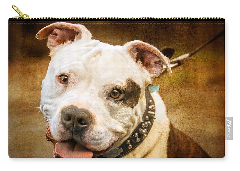 Pit Bull Zip Pouch featuring the photograph Will You Be My Friend by Eleanor Abramson