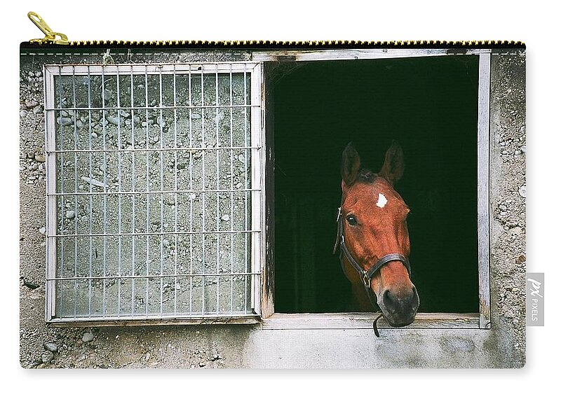 Horse Zip Pouch featuring the photograph Window View by David Porteus