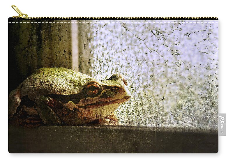 Frog Zip Pouch featuring the photograph Windowsill Visitor by Micki Findlay