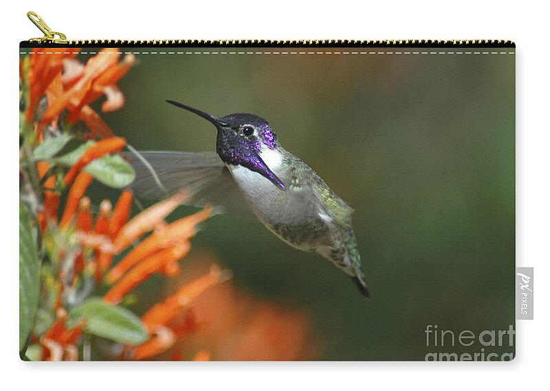 Hummingbirds Zip Pouch featuring the photograph Winged Jewelry by Wilma Birdwell
