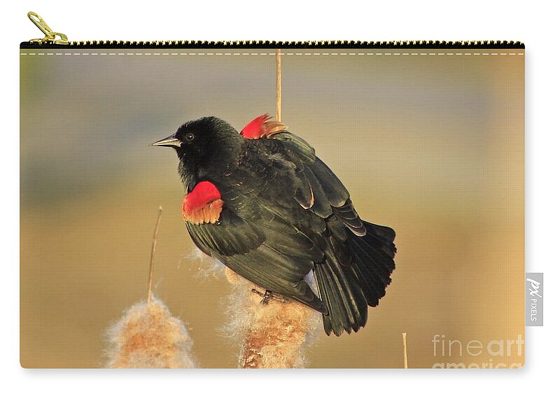 Bird Zip Pouch featuring the photograph Wings in a Golden Light 2 by Chris Anderson