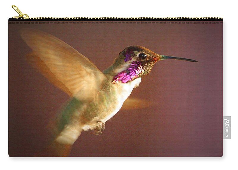 Hummingbirds Zip Pouch featuring the photograph Wings of Gold by Marcia Breznay