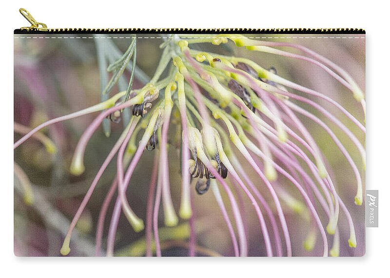 Grevillea Zip Pouch featuring the photograph Winparra Gem by Linda Lees