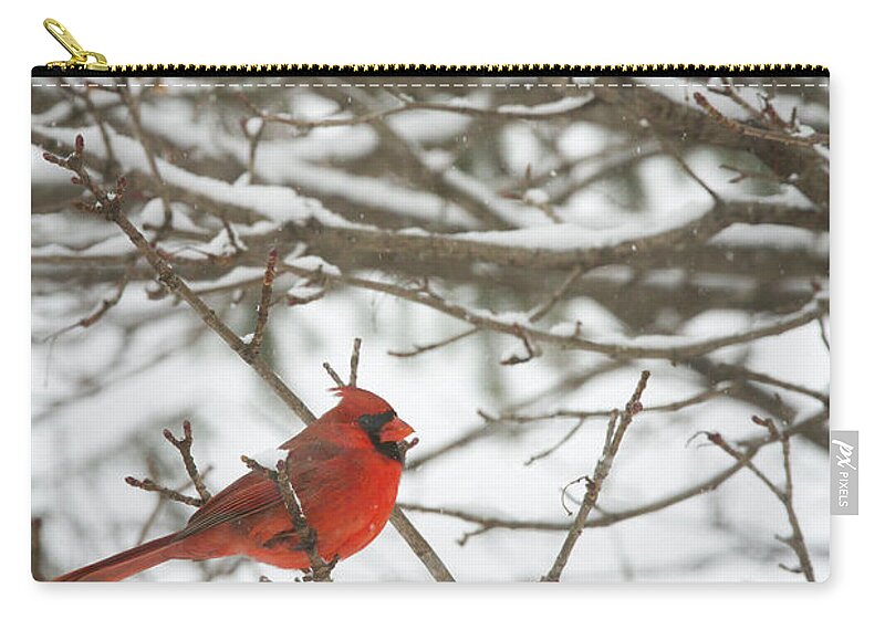 Snow Zip Pouch featuring the photograph Winter Cardinal by Ben Neumann