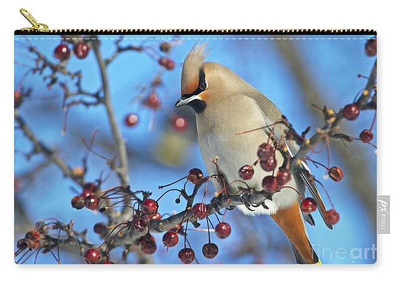 Festblues Zip Pouch featuring the photograph Winter Colors.. by Nina Stavlund