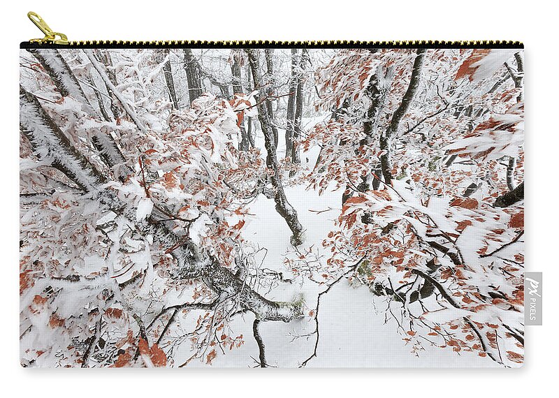 Heike Odermatt Zip Pouch featuring the photograph Winter European Beech Forest In Vosges by Heike Odermatt