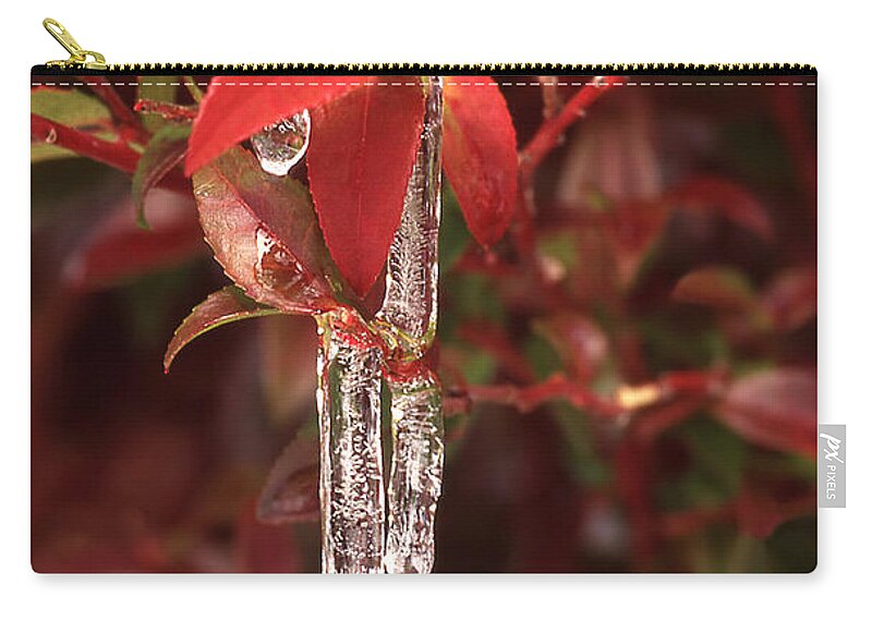 Wild Huckleberry Plant Zip Pouch featuring the photograph Winter Flower by Ginny Barklow