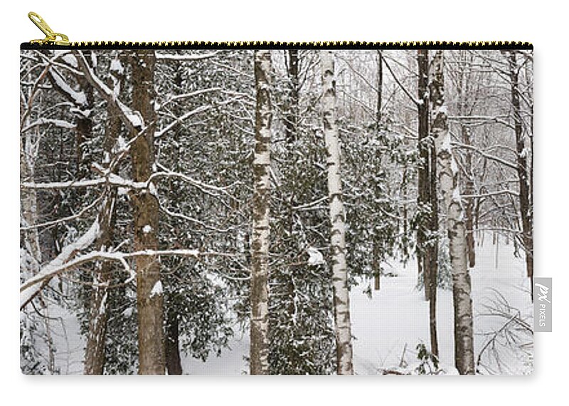 Forest Zip Pouch featuring the photograph Winter forest landscape panorama by Elena Elisseeva