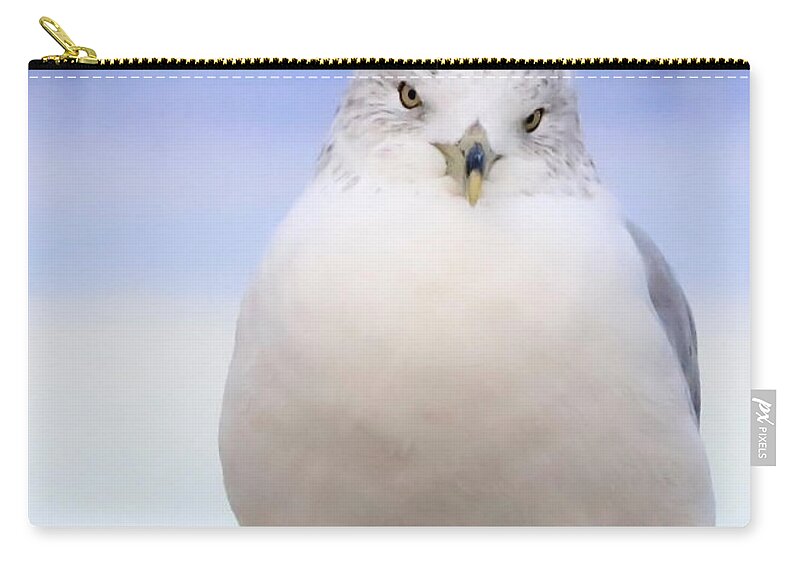 Ring-billed Gull Zip Pouch featuring the photograph Winter Gull by Carol Groenen