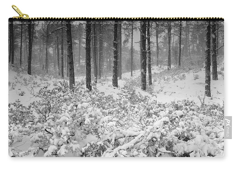 Winter Zip Pouch featuring the photograph Winter in the Woods by Saija Lehtonen