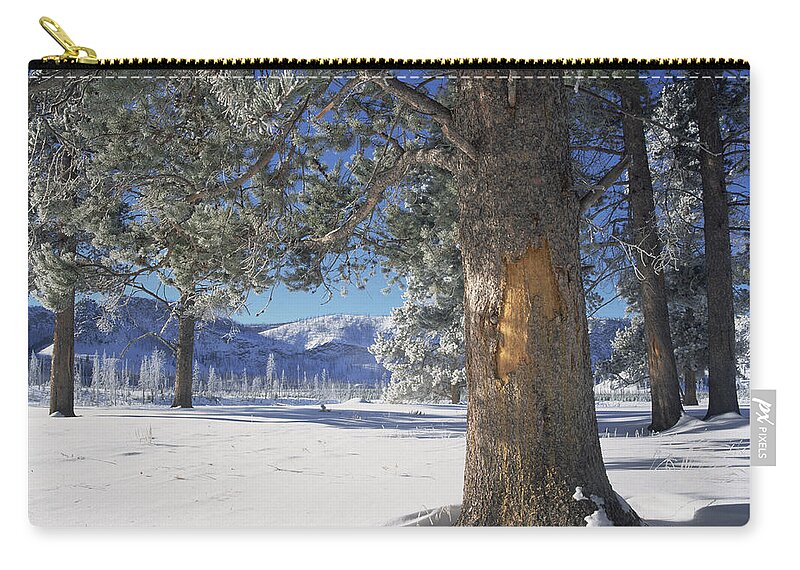 0174291 Zip Pouch featuring the photograph Winter In Yellowstone National Park by Tim Fitzharris