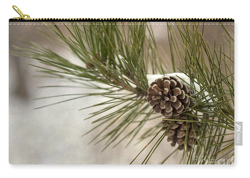 Pine Carry-all Pouch featuring the photograph Winter Interlude by Evelina Kremsdorf