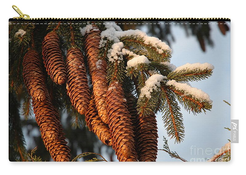Pine Zip Pouch featuring the photograph Winter Pine - Holiday by Susan Carella