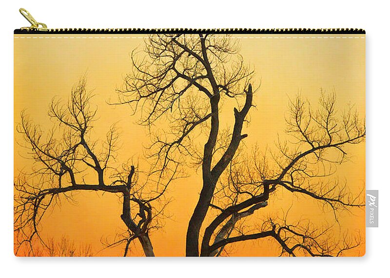 Tree Zip Pouch featuring the photograph Winter Season Sunset Tree by James BO Insogna