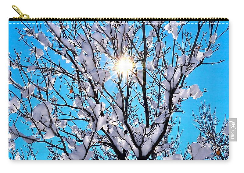 Tree Zip Pouch featuring the photograph Winter Sunlight by Jody Partin