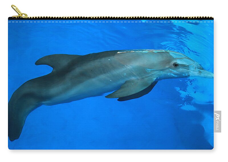Nature Zip Pouch featuring the photograph Winter the Dolphin by Doug McPherson