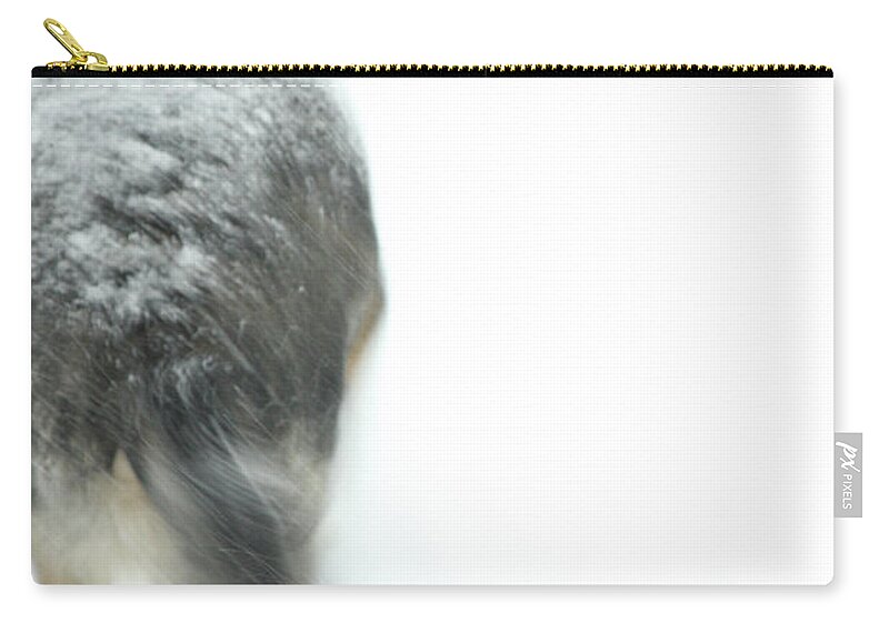 Dog Zip Pouch featuring the photograph Winter Traveler by Karol Livote