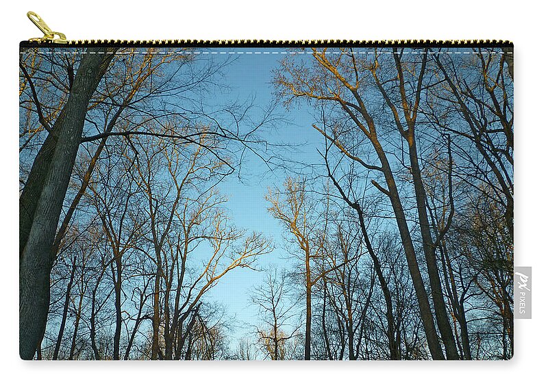 Park Zip Pouch featuring the photograph Winter Trees by Pete Trenholm