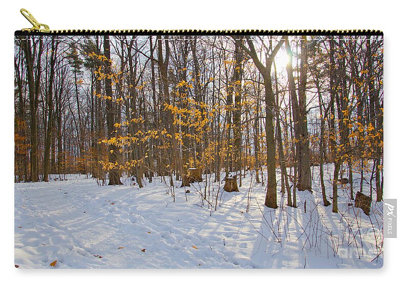 Winter Carry-all Pouch featuring the photograph Winter Walk by Laurel Best