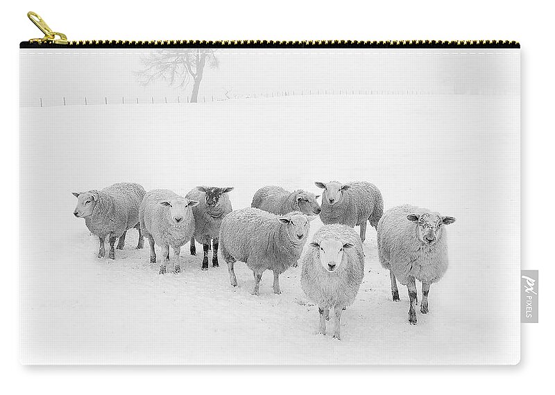 #faatoppicks Zip Pouch featuring the photograph Winter Woollies by Janet Burdon