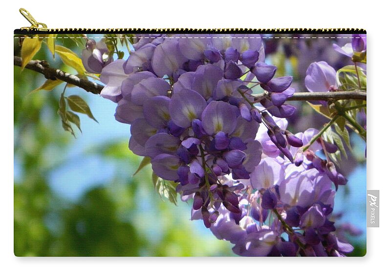 Wisteria Zip Pouch featuring the photograph Wisteria by Andrea Anderegg