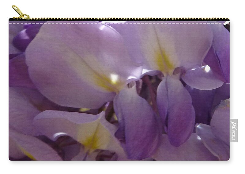 Purple Zip Pouch featuring the photograph Wisteria Duo by Claudia Goodell