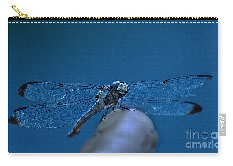 Jemmy Archer Zip Pouch featuring the photograph With a Broken Wing by Jemmy Archer