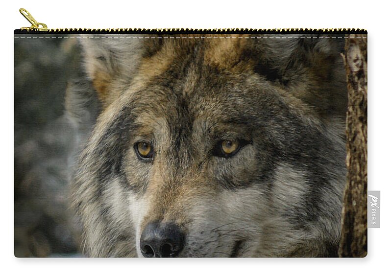 Wolf Zip Pouch featuring the photograph Wolf upclose 2 by Ernest Echols