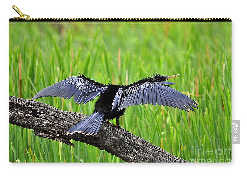 Anhinga Zip Pouch featuring the photograph Wonderful Wings by Al Powell Photography USA