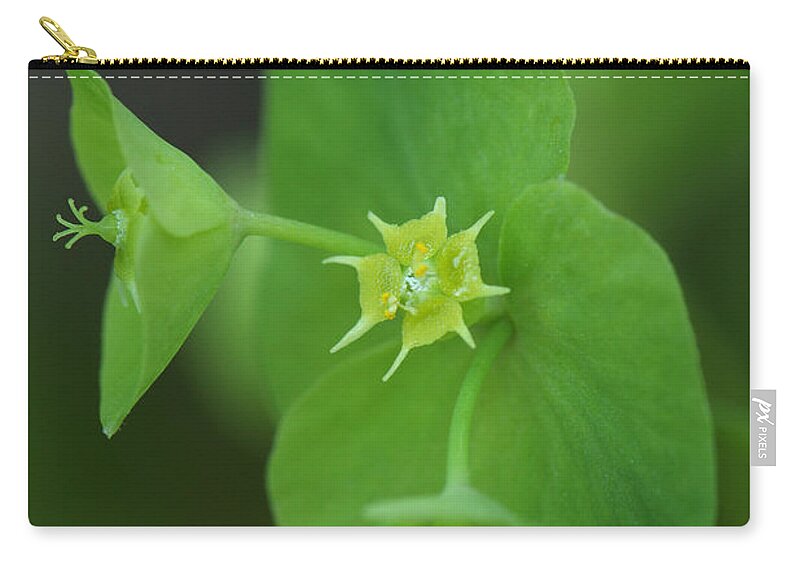 Wood Spurge Zip Pouch featuring the photograph Wood Spurge by Daniel Reed