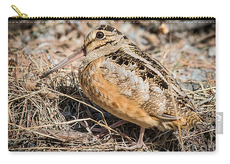 Ornithology Zip Pouch featuring the photograph Woodcock by Cheryl Baxter