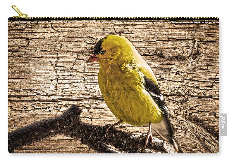 Wormy Wood Background Zip Pouch featuring the photograph Wormy Wood American Goldfinch by Randall Branham