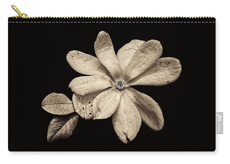 Wounded White Magnolia Zip Pouch featuring the photograph Wounded White Magnolia Wide Version Sepia by Weston Westmoreland
