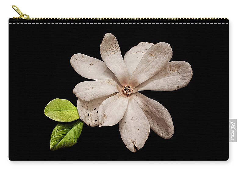 Wounded White Magnolia Carry-all Pouch featuring the photograph Wounded White Magnolia Wide Version by Weston Westmoreland