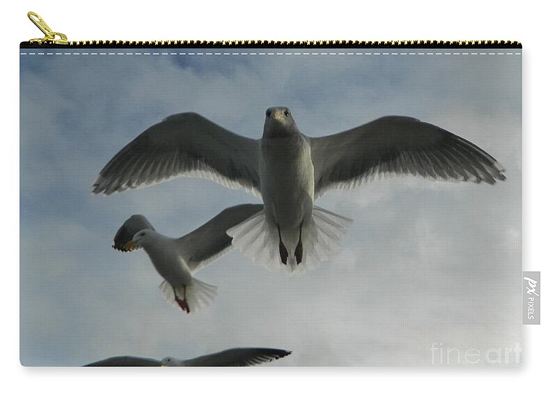 Birds Carry-all Pouch featuring the photograph Wow Seagulls 1 by Gallery Of Hope 