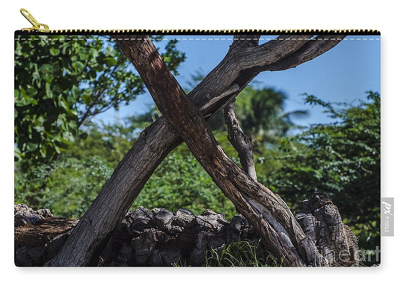 Trees Zip Pouch featuring the photograph X Marks The Spot by Judy Wolinsky