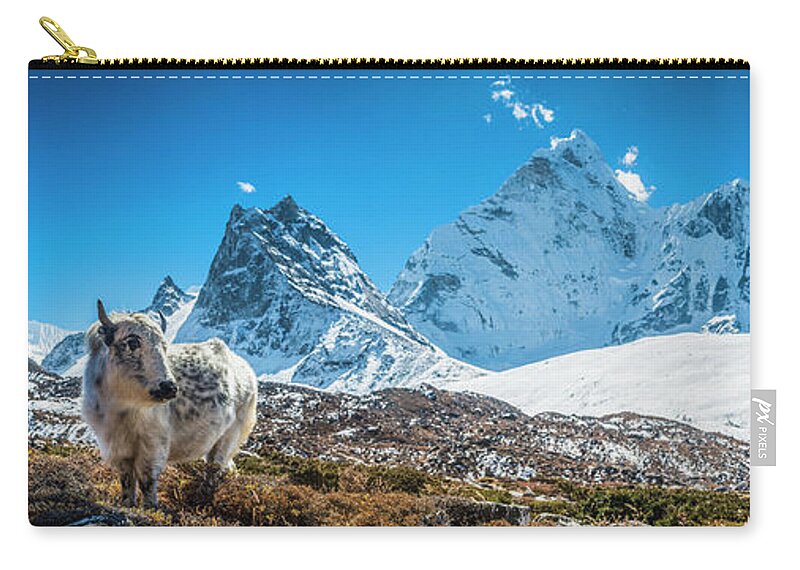 Horned Zip Pouch featuring the photograph Yak Calf Grazing In High Altitude by Fotovoyager